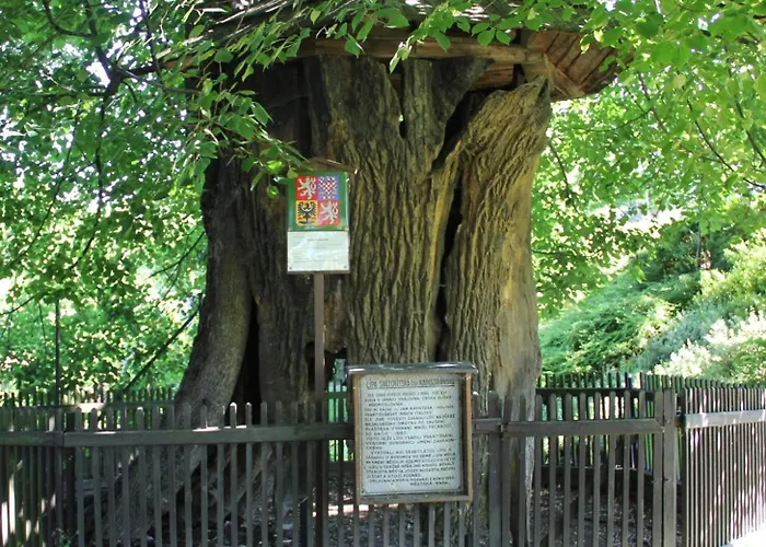 Na Polni Semesterbostad Jemnice